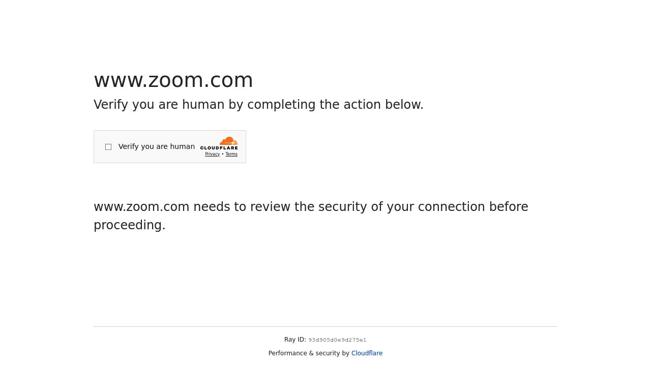 Zoom IQ